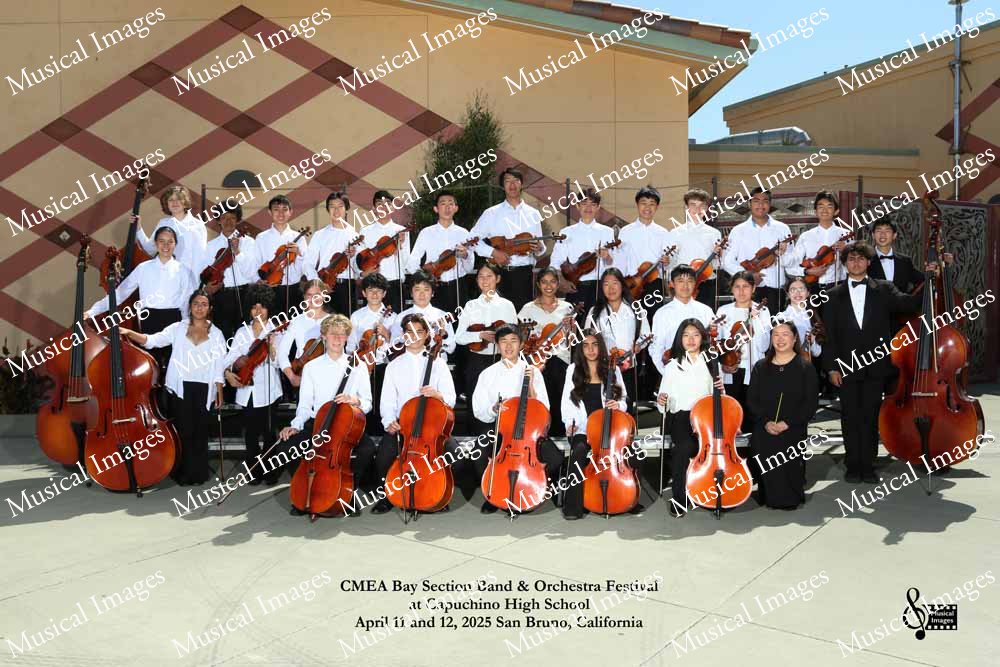 Musical Images